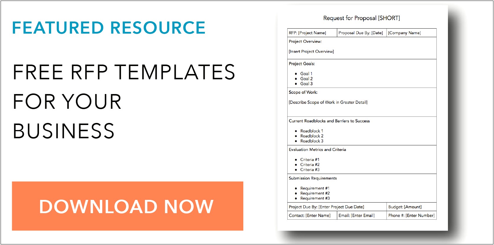 Request For Information Template Free Download