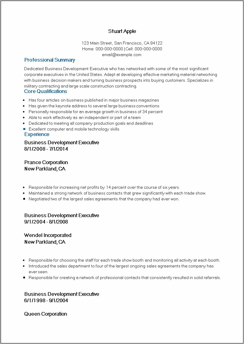 Resume Summary Example For A Business Development