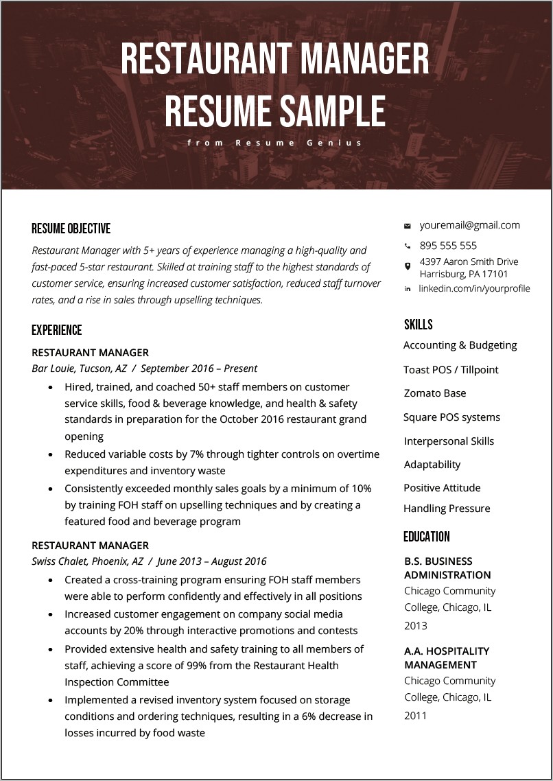 Resume Summary Examples Customer Service Manager