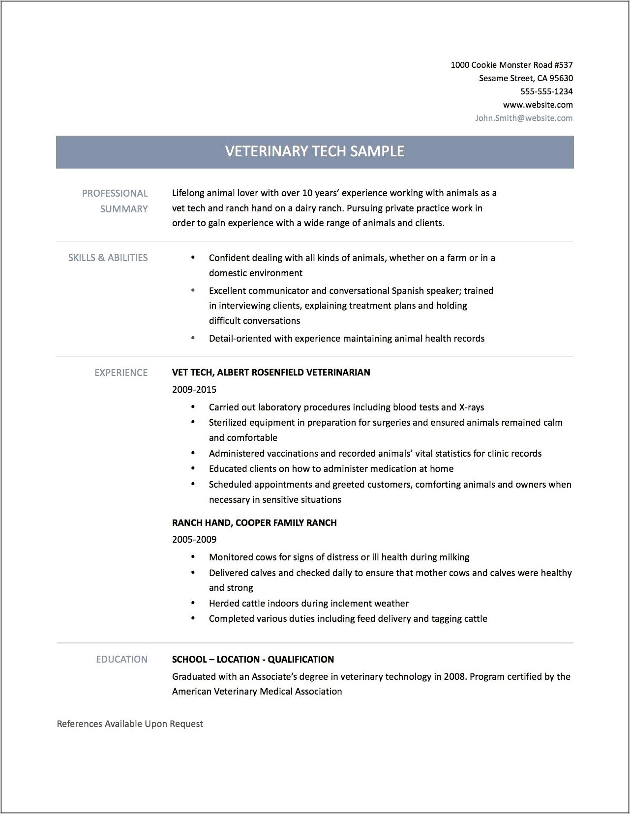 Resume Summary Examples For Director Of Conduct