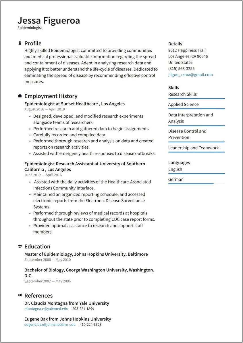Resume Summary Examples For Government Jobs