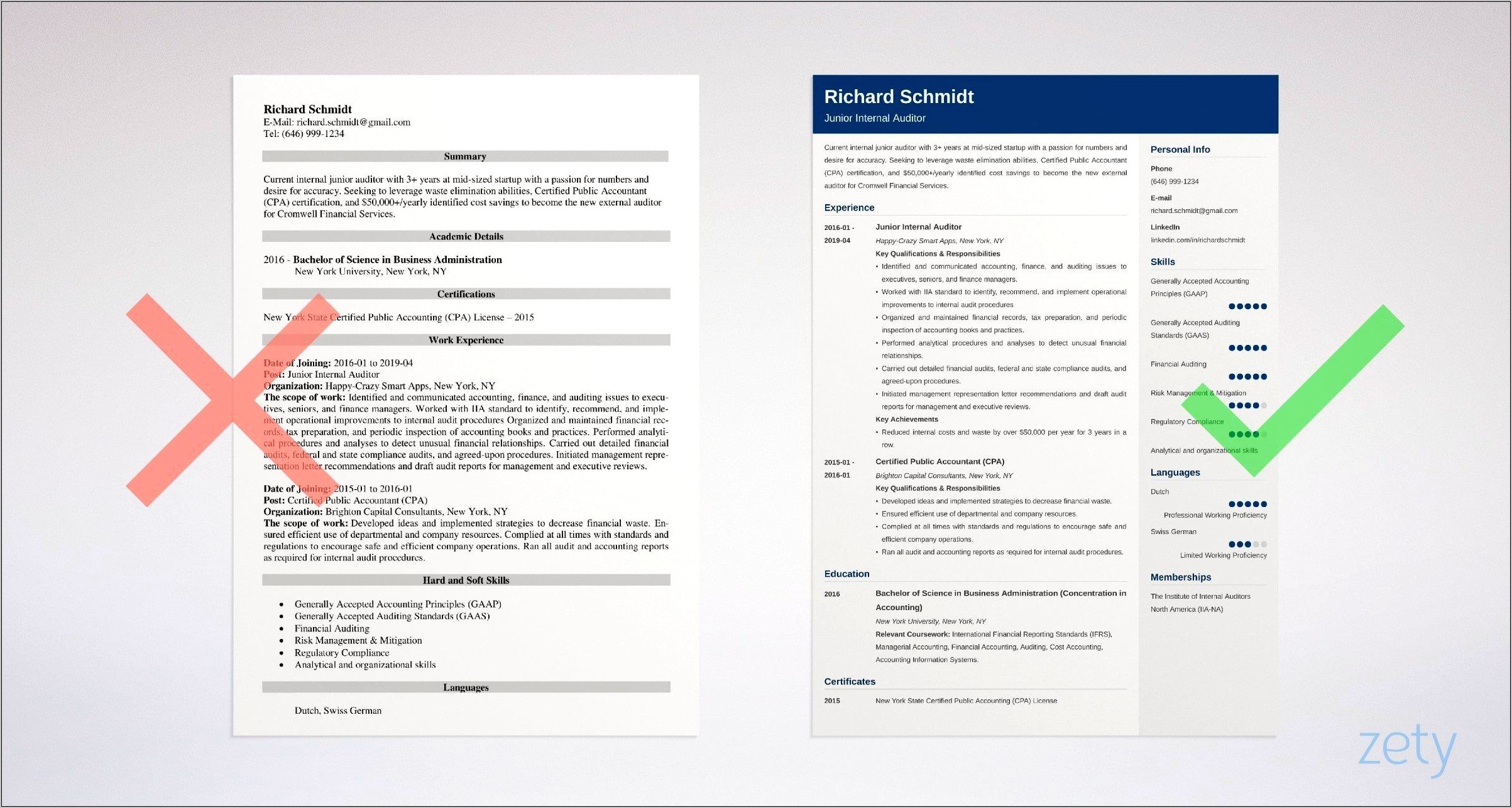 Resume Summary Examples For Internal Auditor Natural Gas