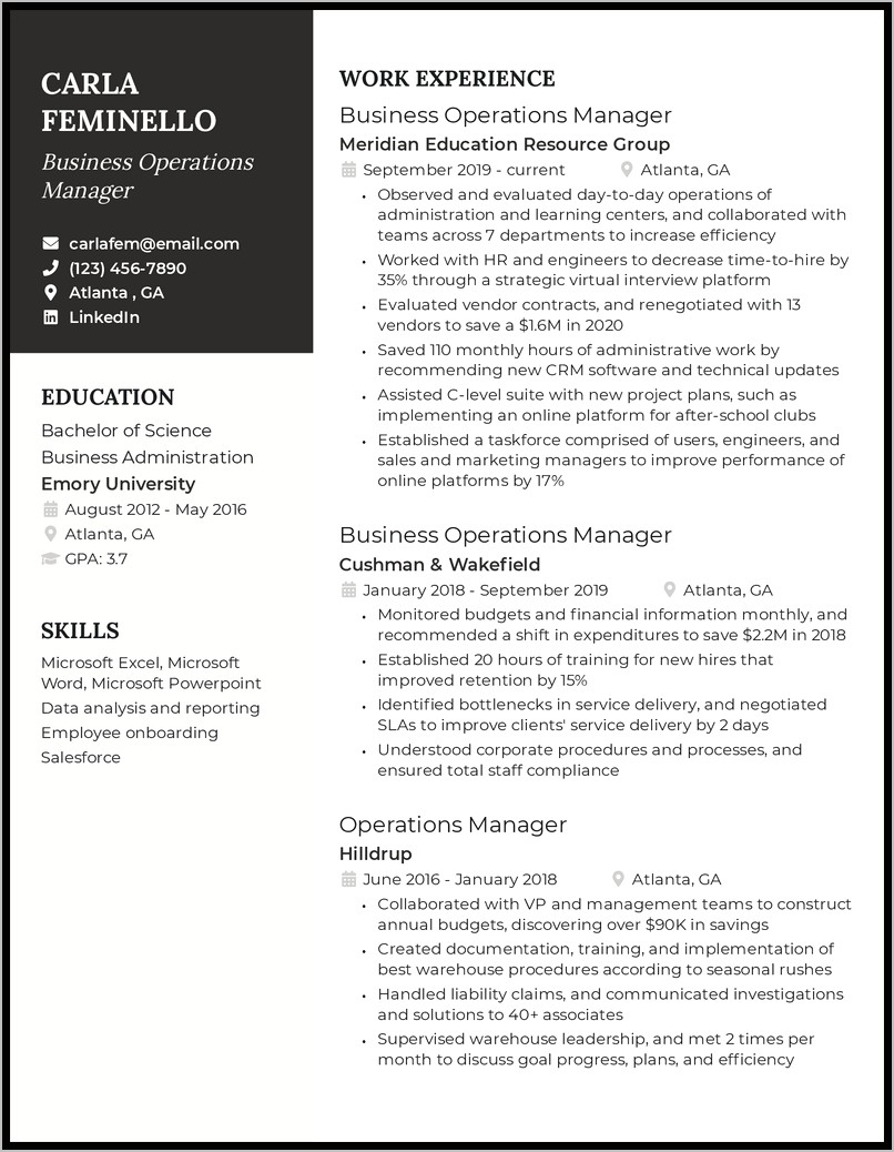 Resume Summary Examples For Operations Manager