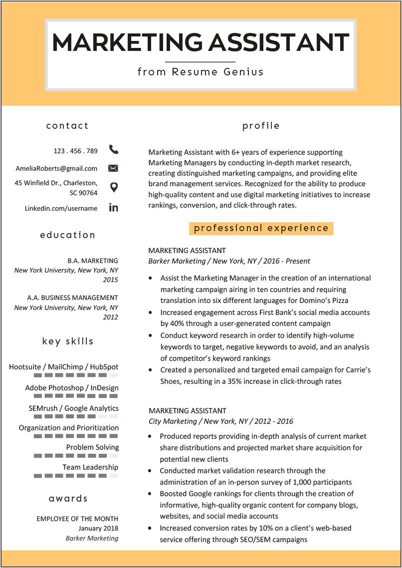 Resume Summary Examples For Sales And Marketing
