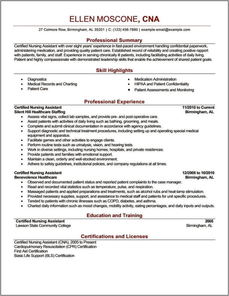 Resume Summary Examples For Traing And Leadership