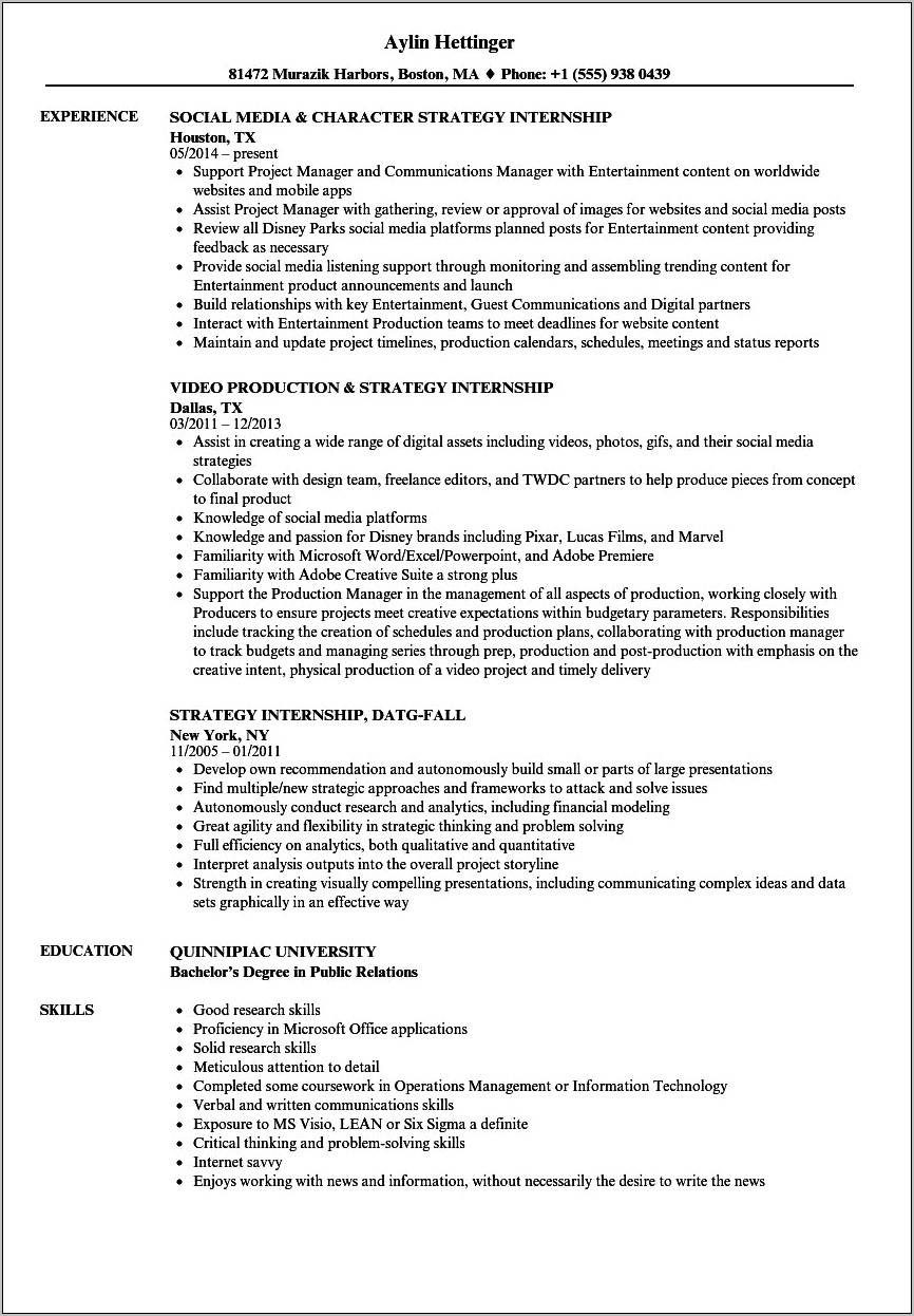 Resume Summary For Information Techology Major