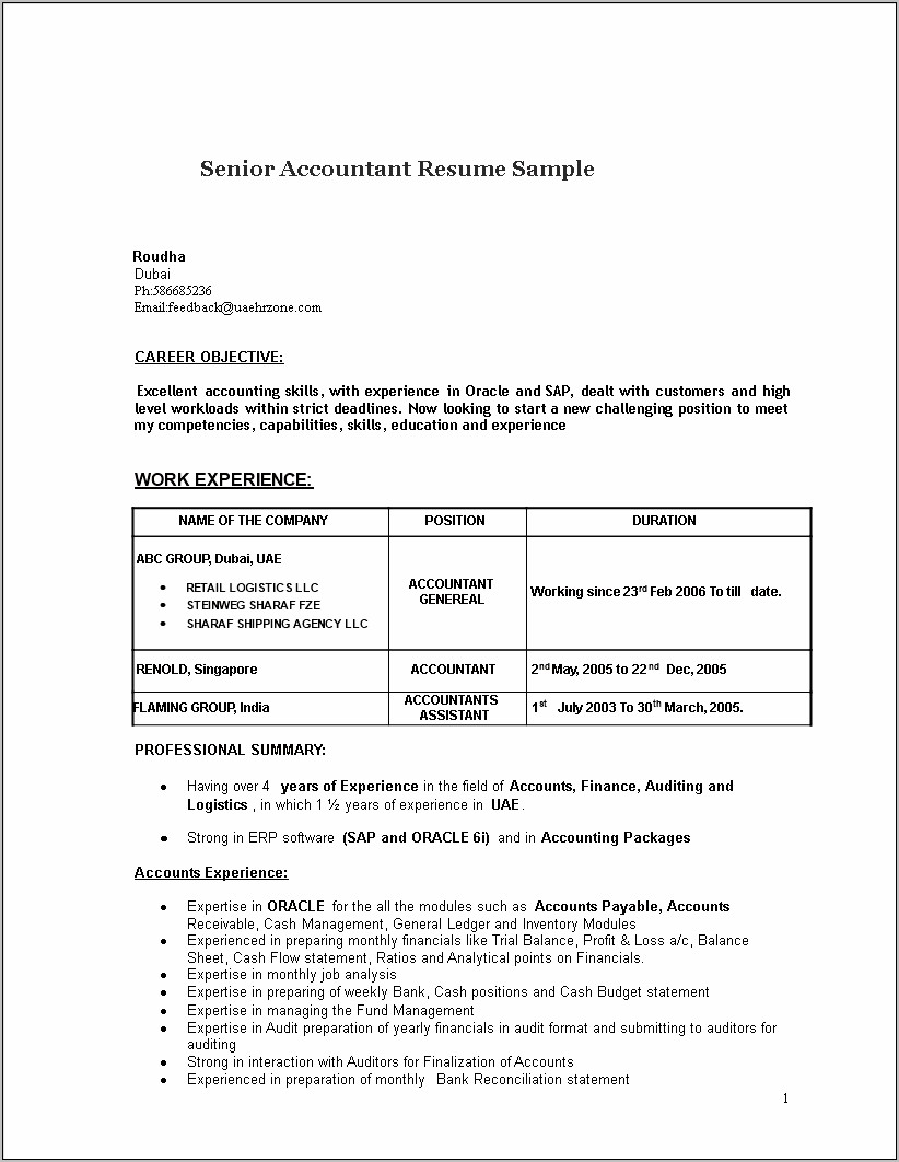 Resume Summary Statement For Accounting Senior