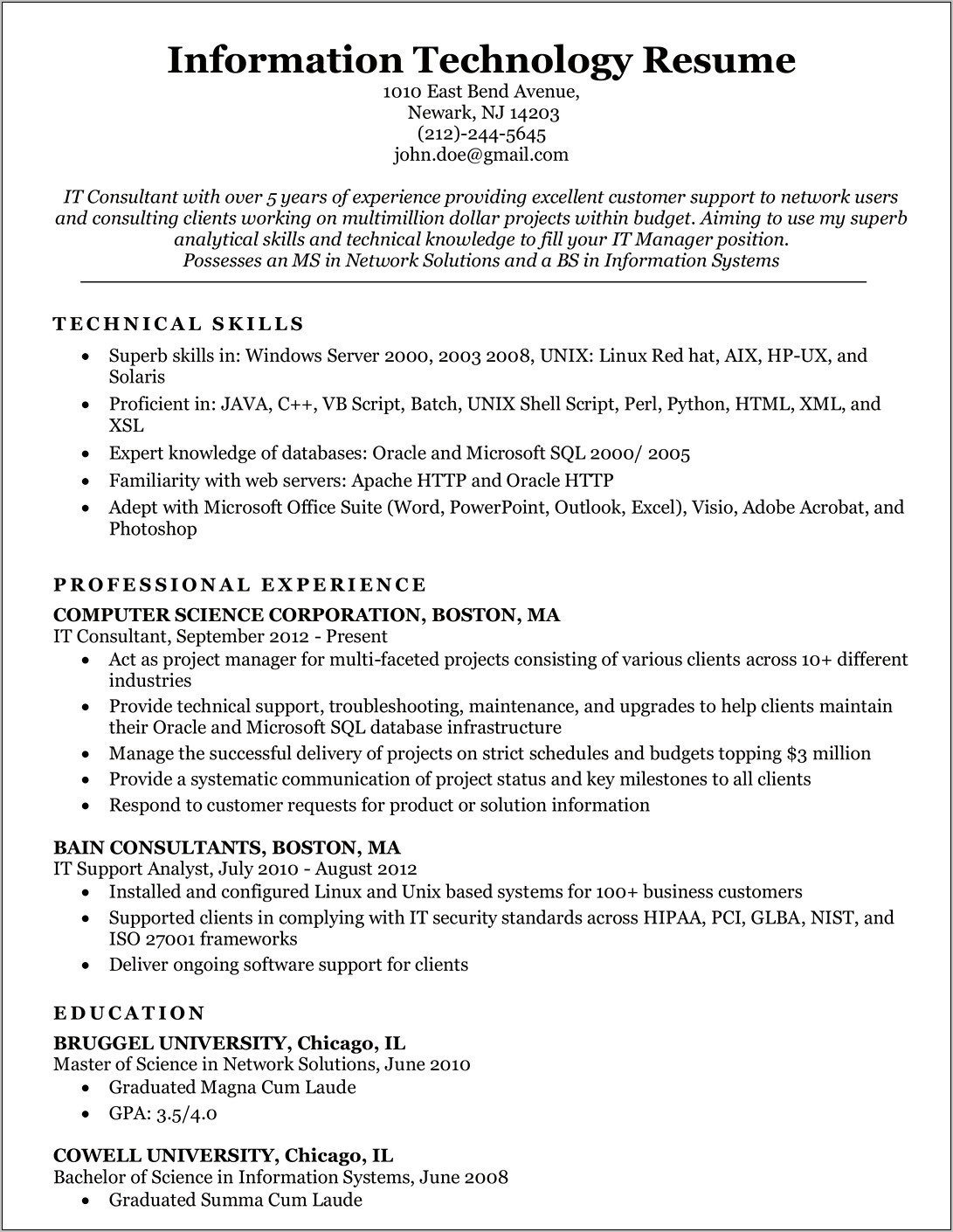 Resume Summary Template Of An It Professional