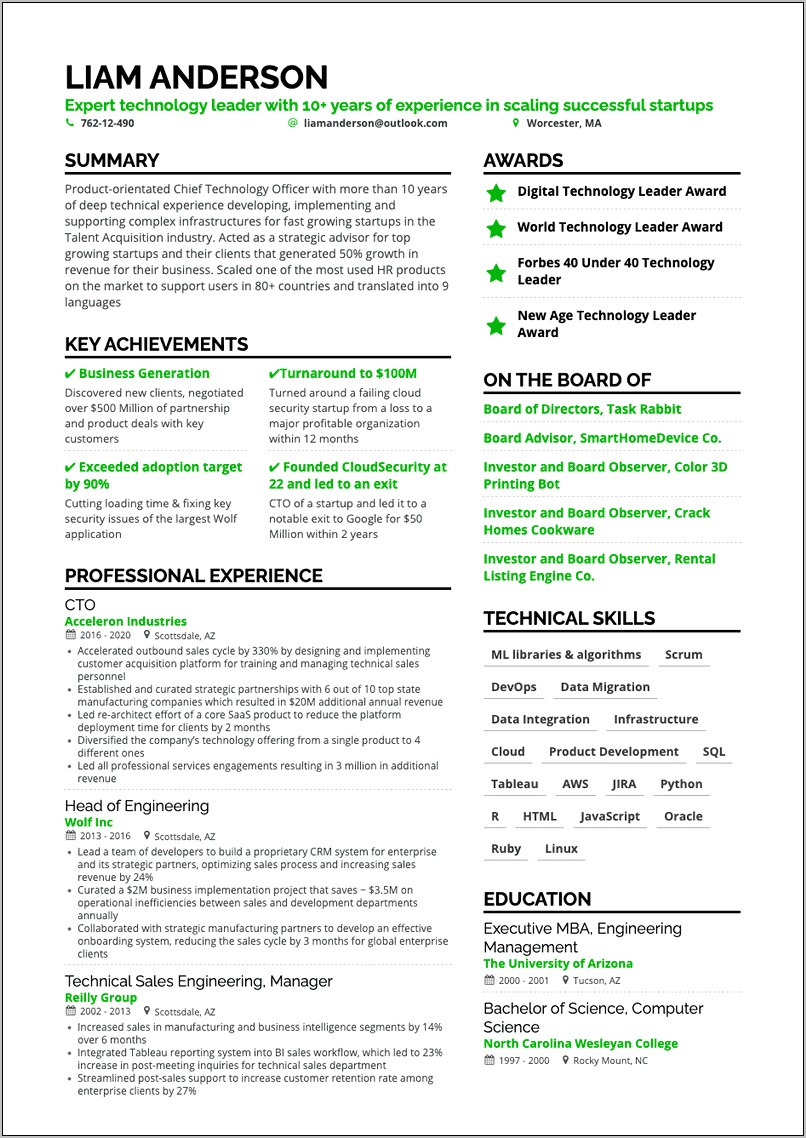 Resume Template Director Information Technology Professional