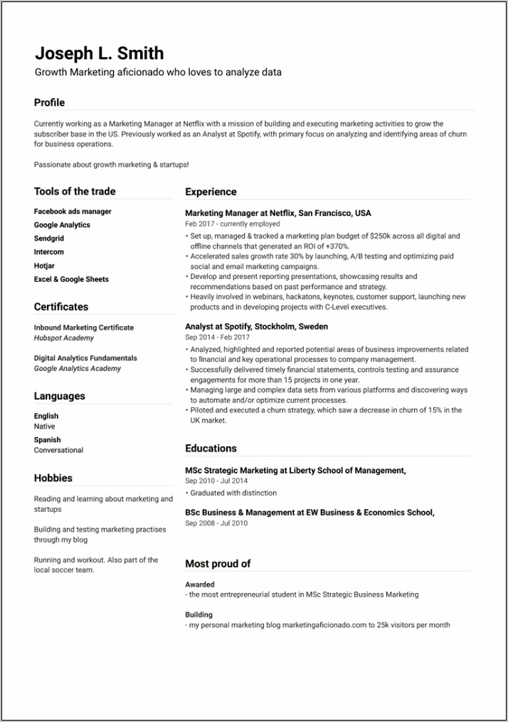 Resume Template For Lots Of Experience