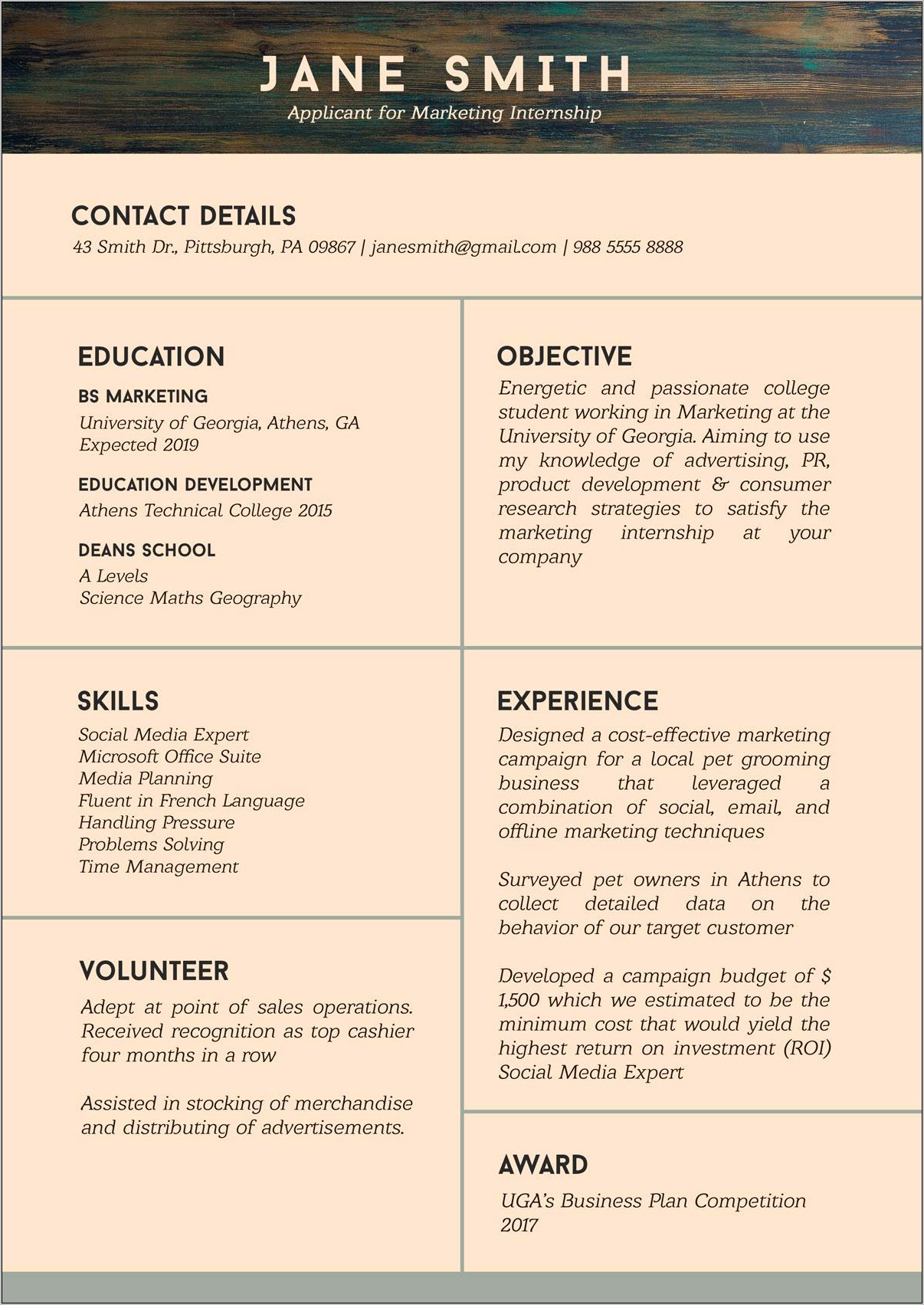 Resume Template Student No Work Experience