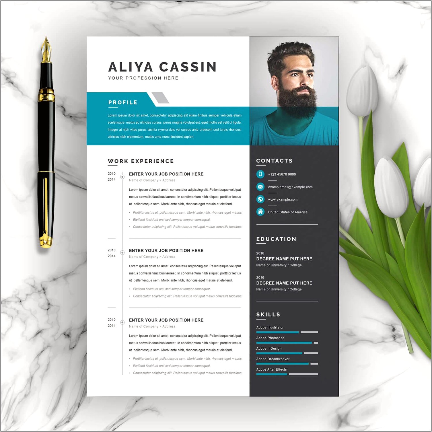 Resume Template Word 2010 Free Download