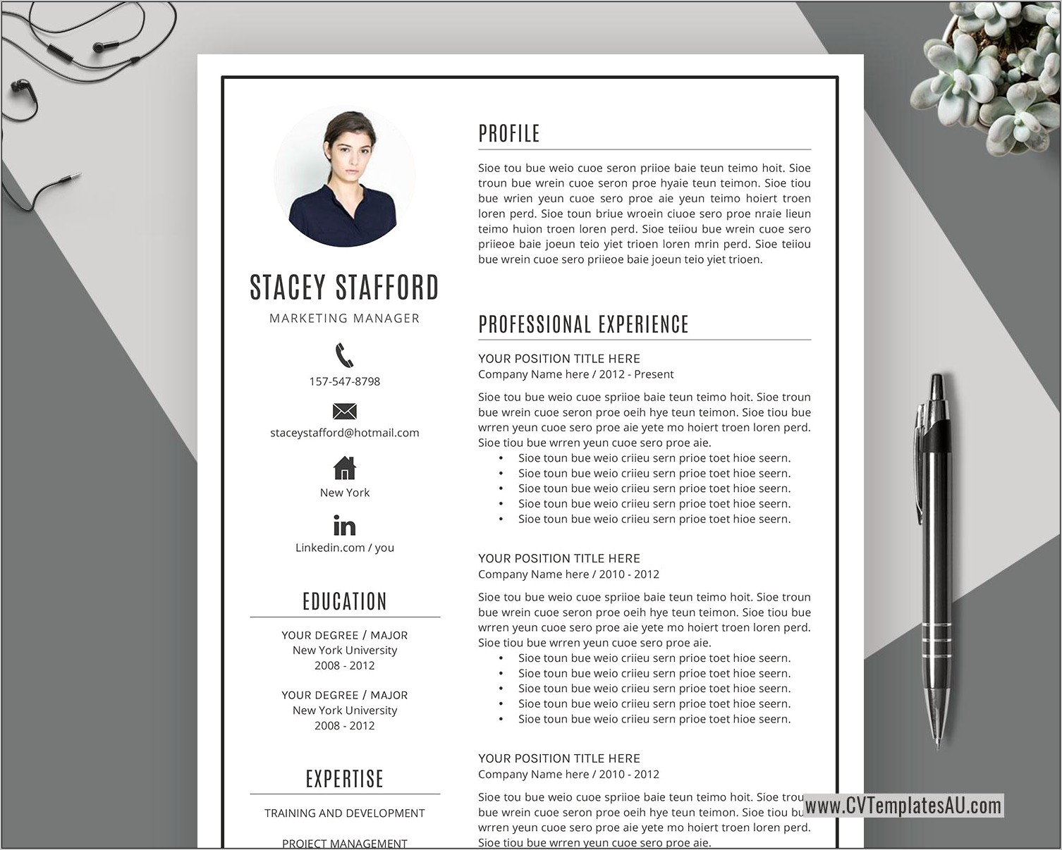 Resume Templates For Experienced It Professionals Download