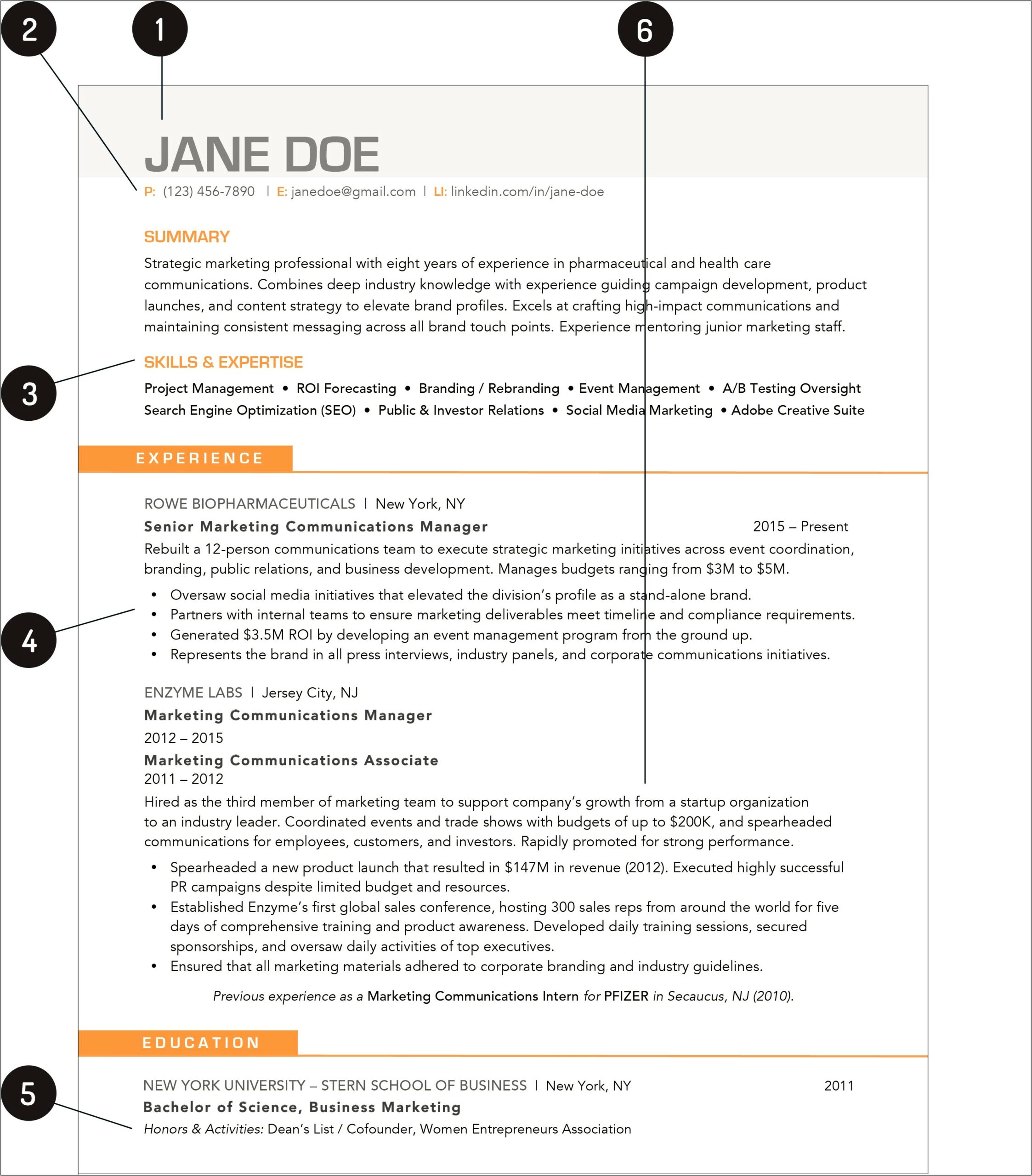 Resume Templates For People With No Job Experiance