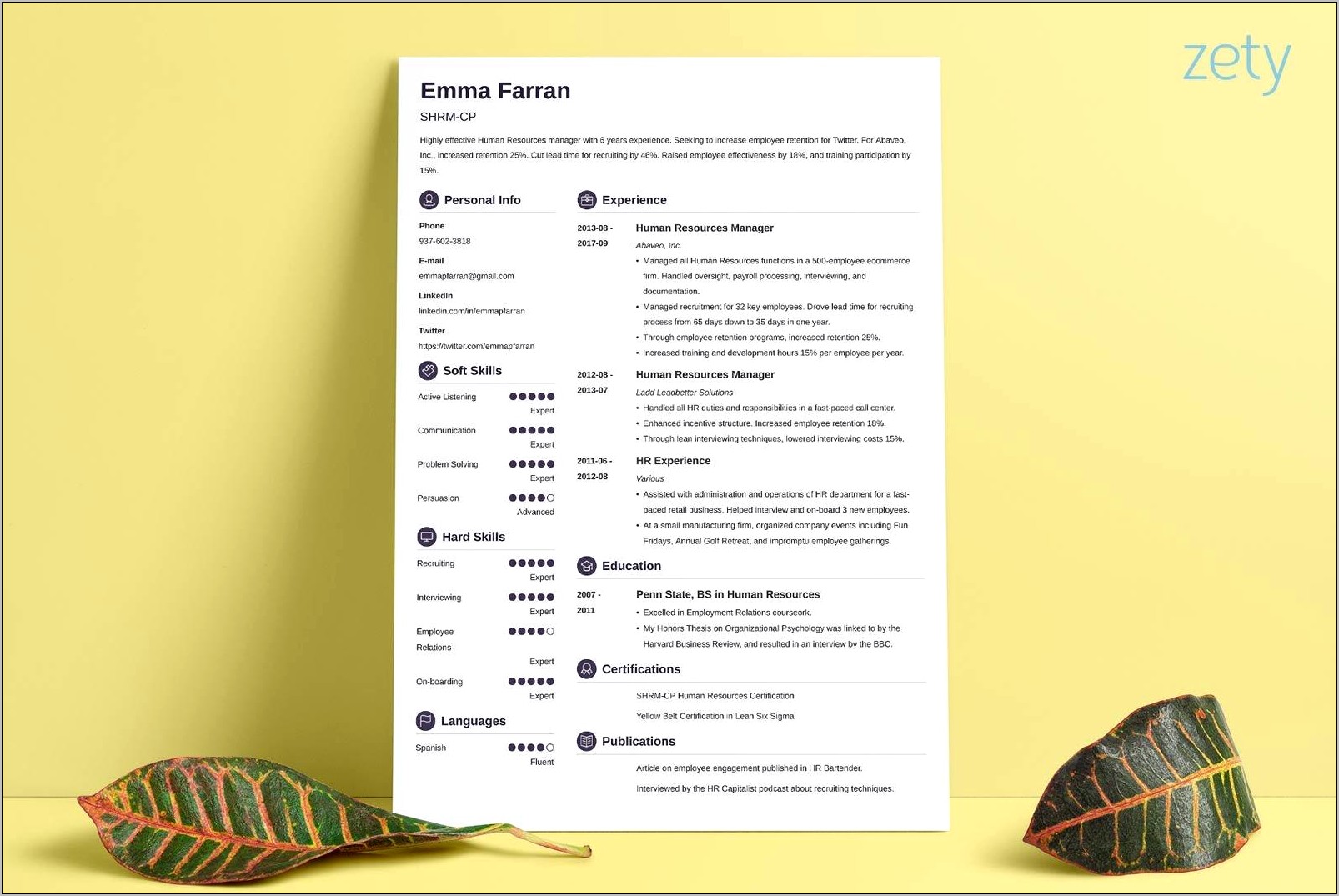 Resume Templates Microsoft Word 2013 Free Download