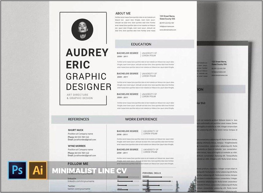 Resume Templates That Fit A Lot Of Information