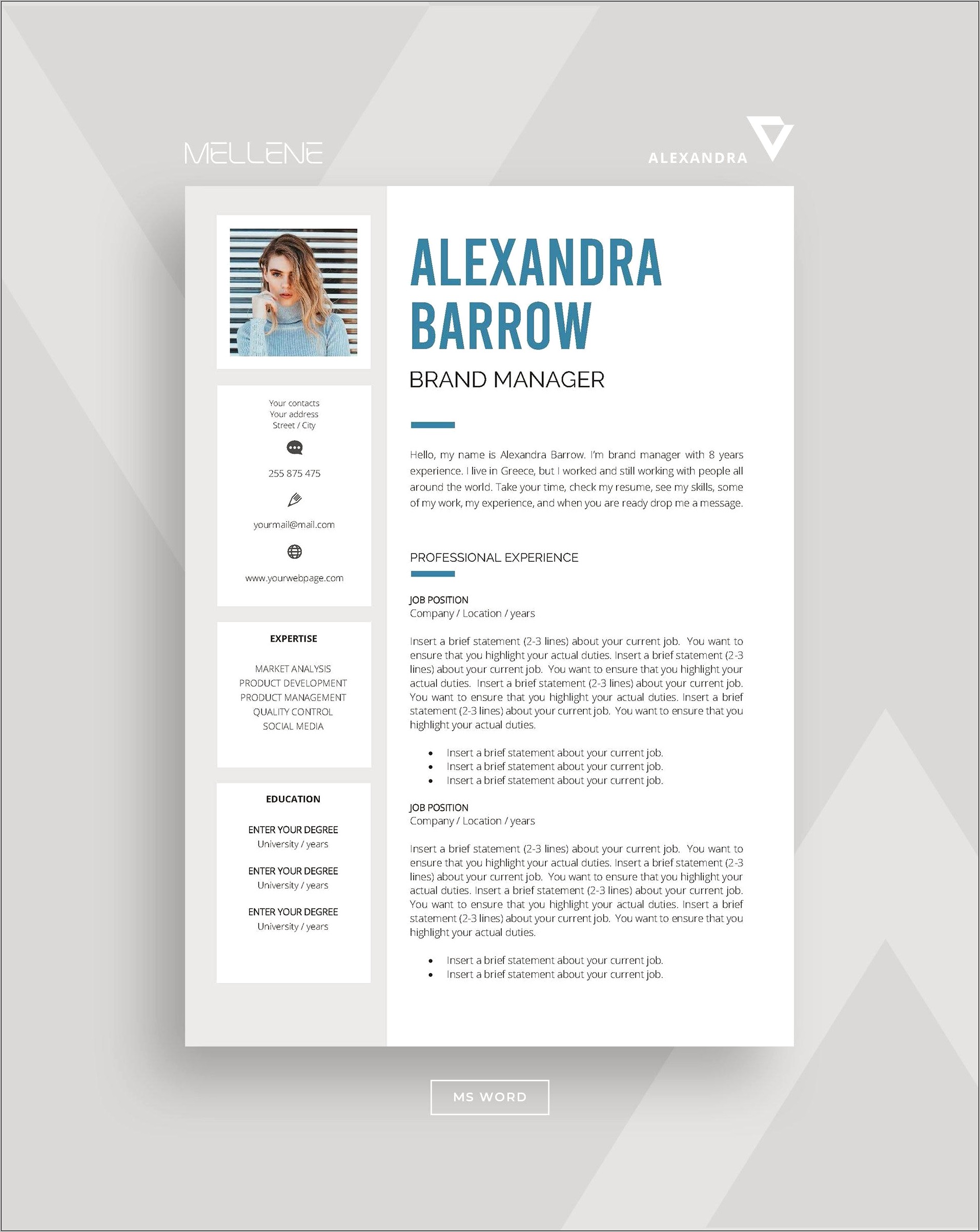 Resume Templates With 3 Work Exp
