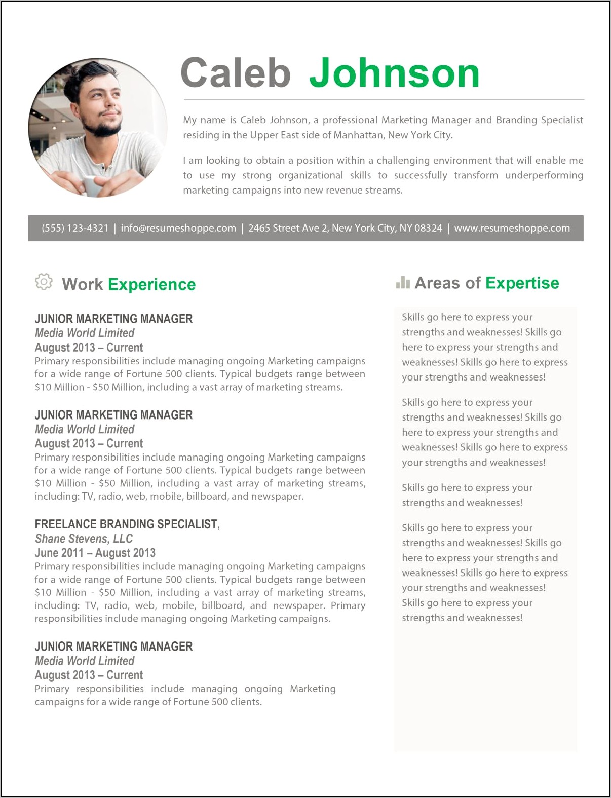 Resume Templates With Skills On The Side