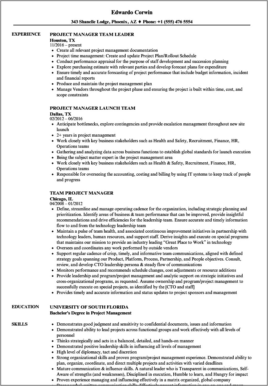 Resume Words For Working On A Team Project