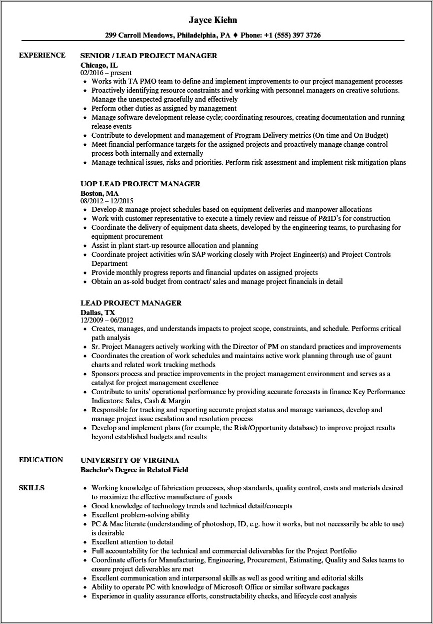 Resume Worked As Team Lead To Project Completion