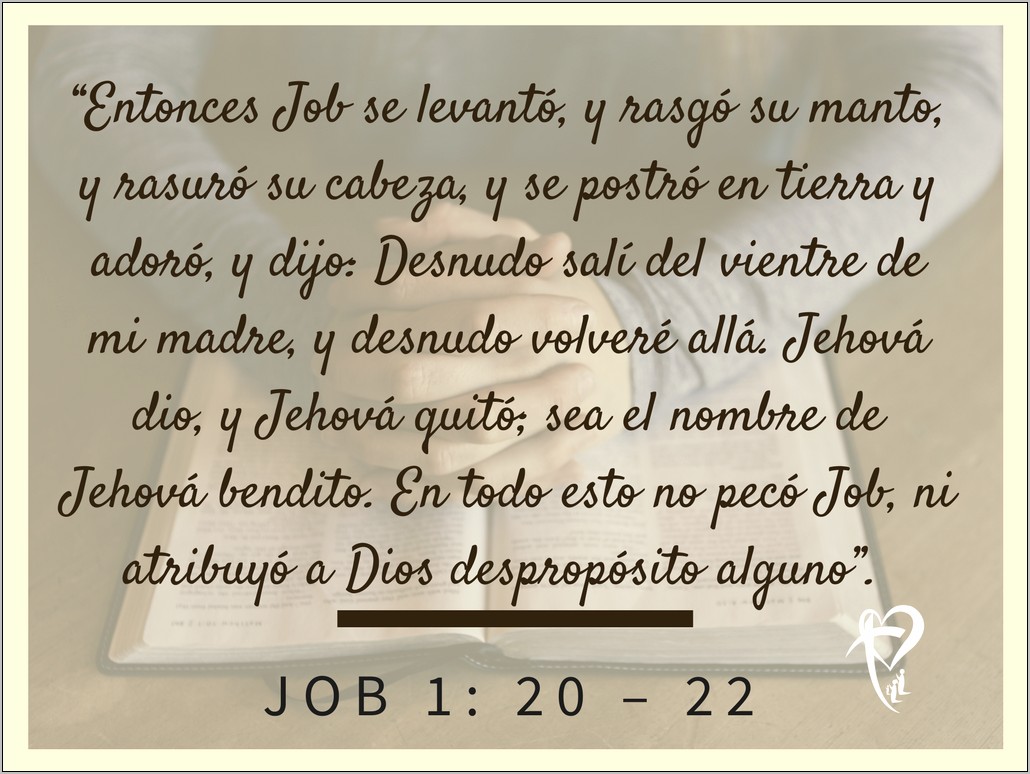 Resumen Del Libro Biblico De Job