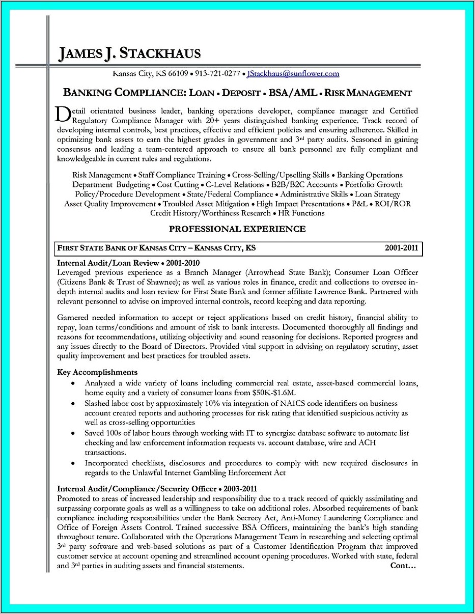 Risk Management Bsa Qualification Example Resume