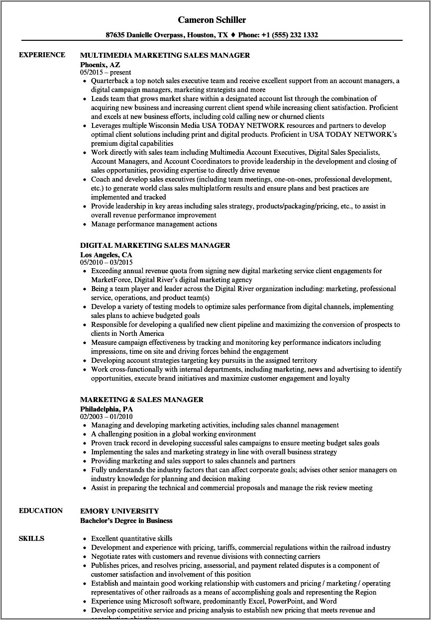 Sales And Marketing Director Template Resume