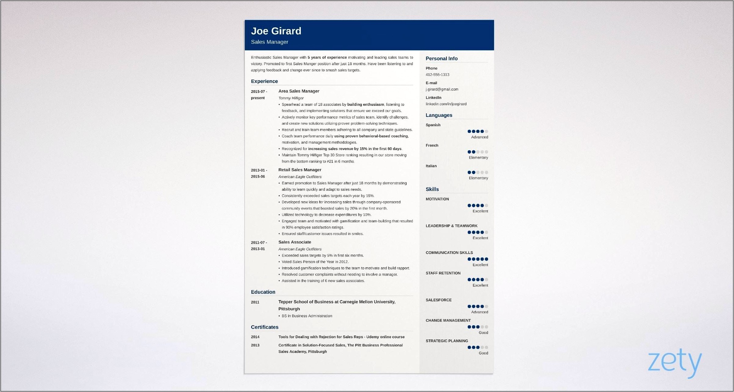 Sales Manager Job Description Resume Sample