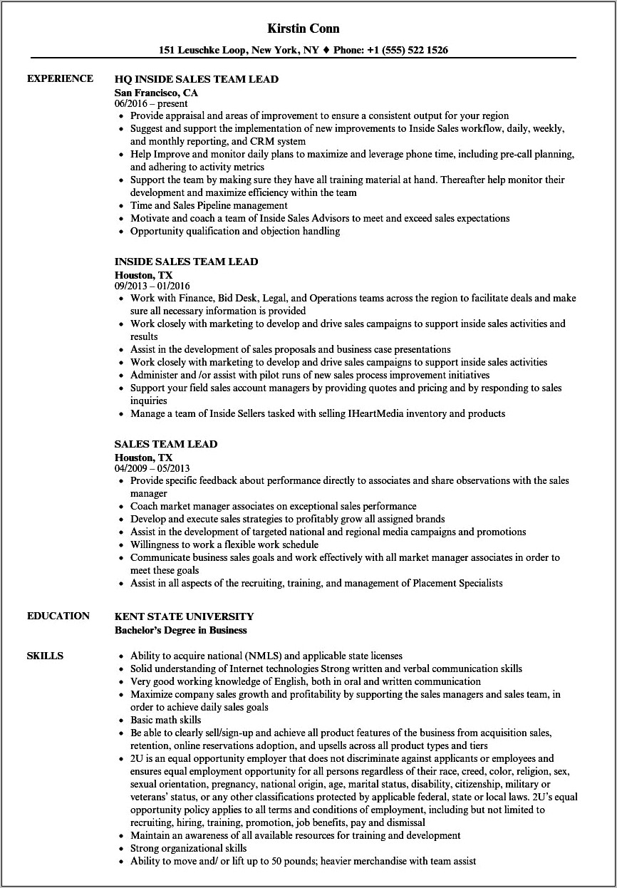 Sales Team Leader Job Description For Resume