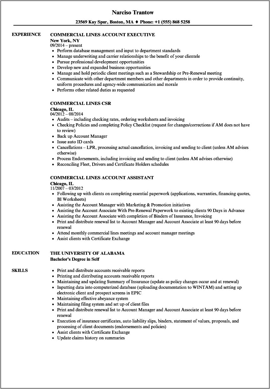 Sample Commercial Lines Insurance Account Executve Resume
