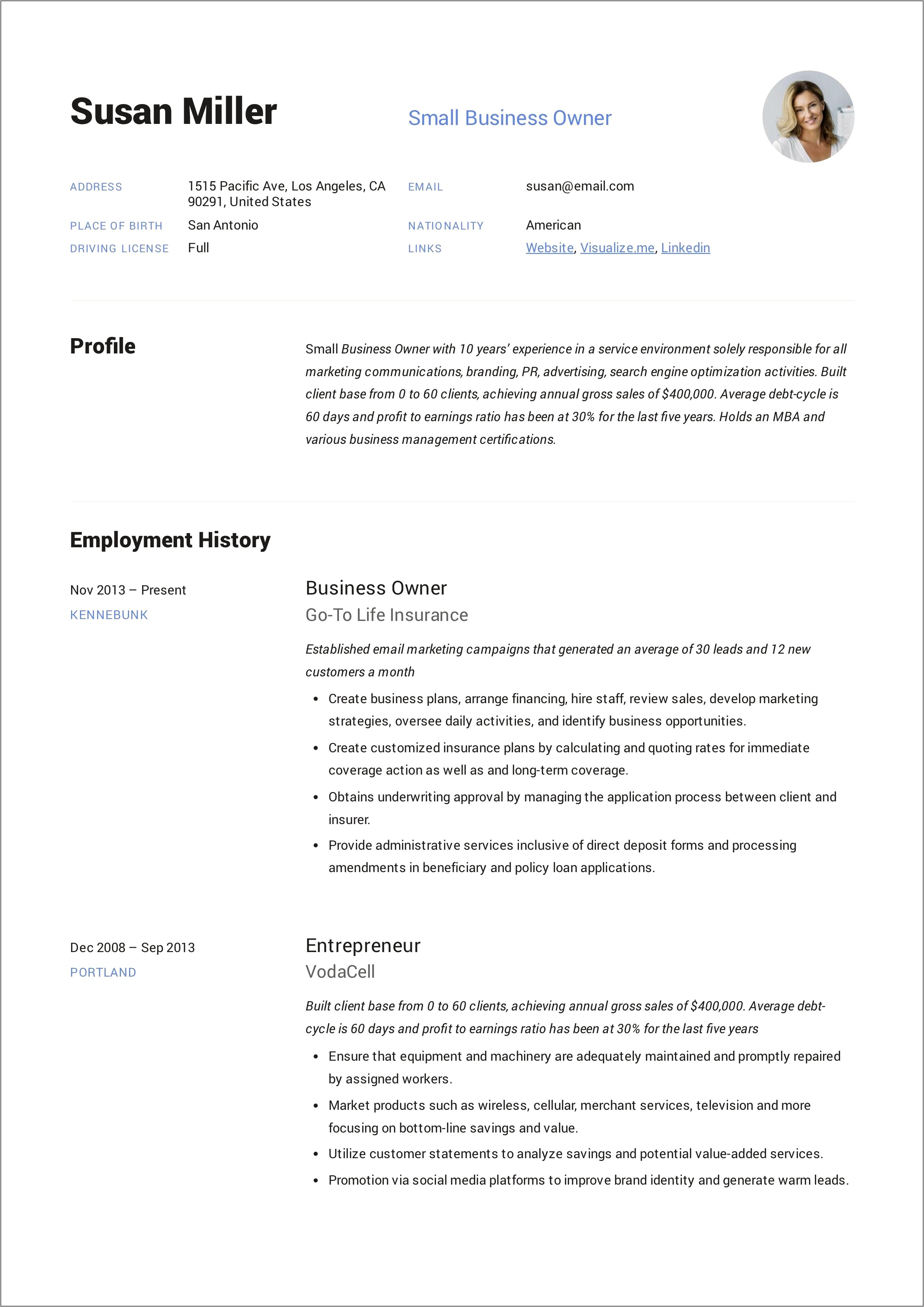 Sample Executive Summary For Business Entrepeneur Resume