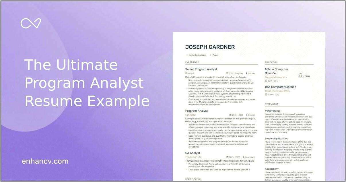 Sample Federal Resume For Program Analyst