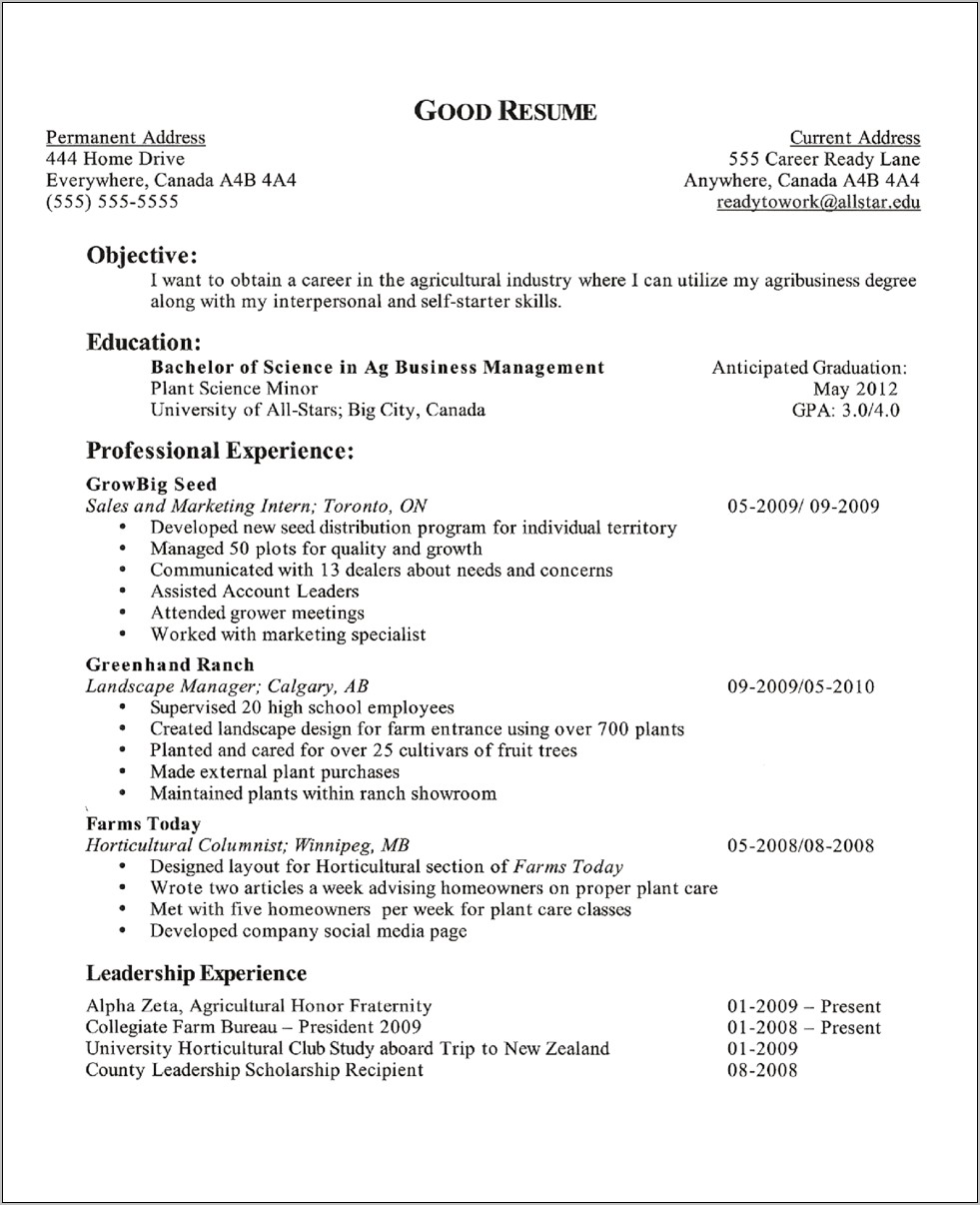 Sample High School Resume Career Objective