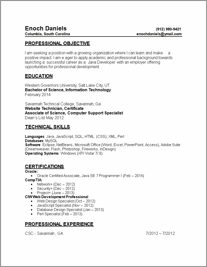 Sample Mid Level Java Programmer Resume