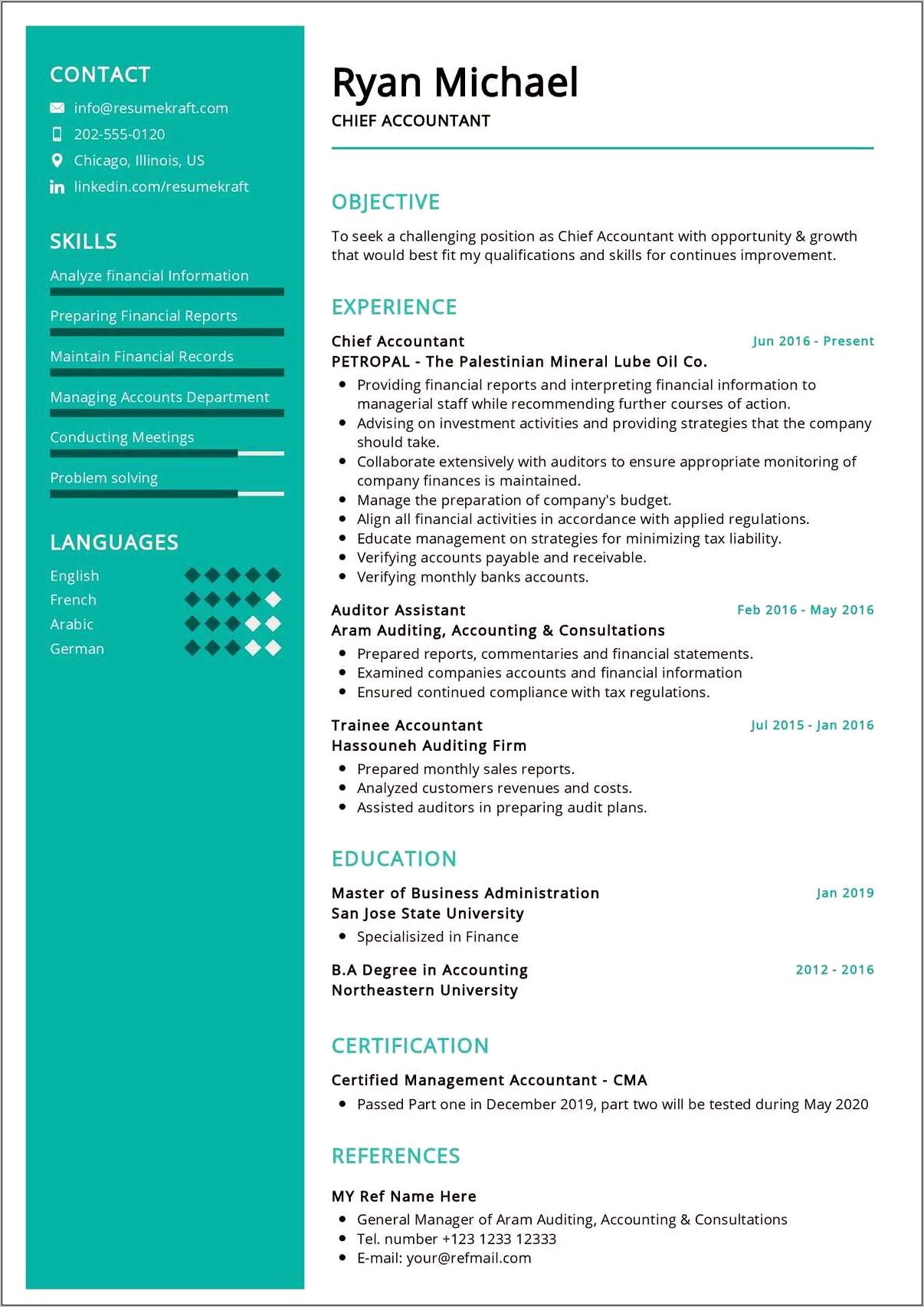Sample Of Professional Resume For Accountant