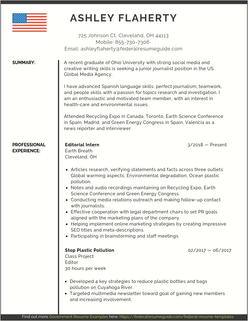 Sample Of Resume For Government Positions 2017