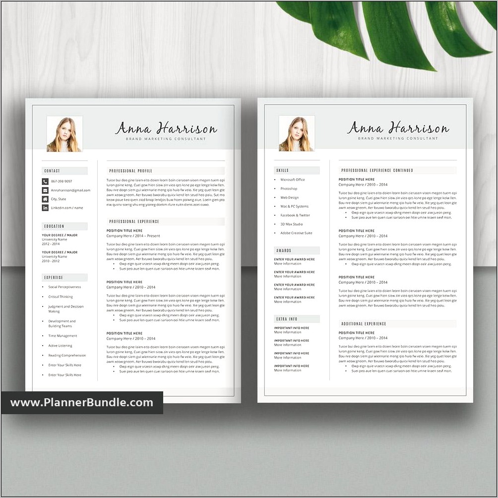 Sample Resume And Cover Letter For Creative Professional