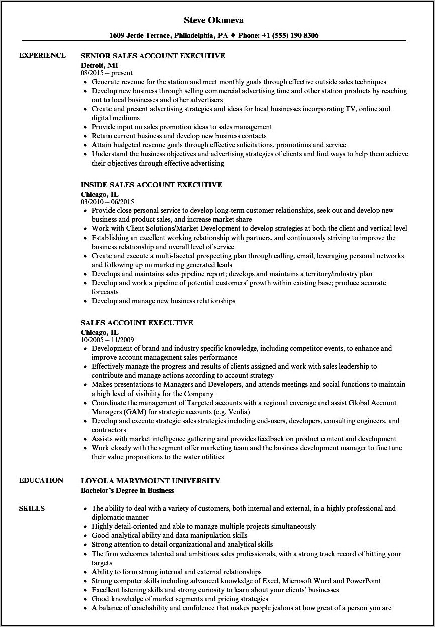 Sample Resume For A Sales Account Executive
