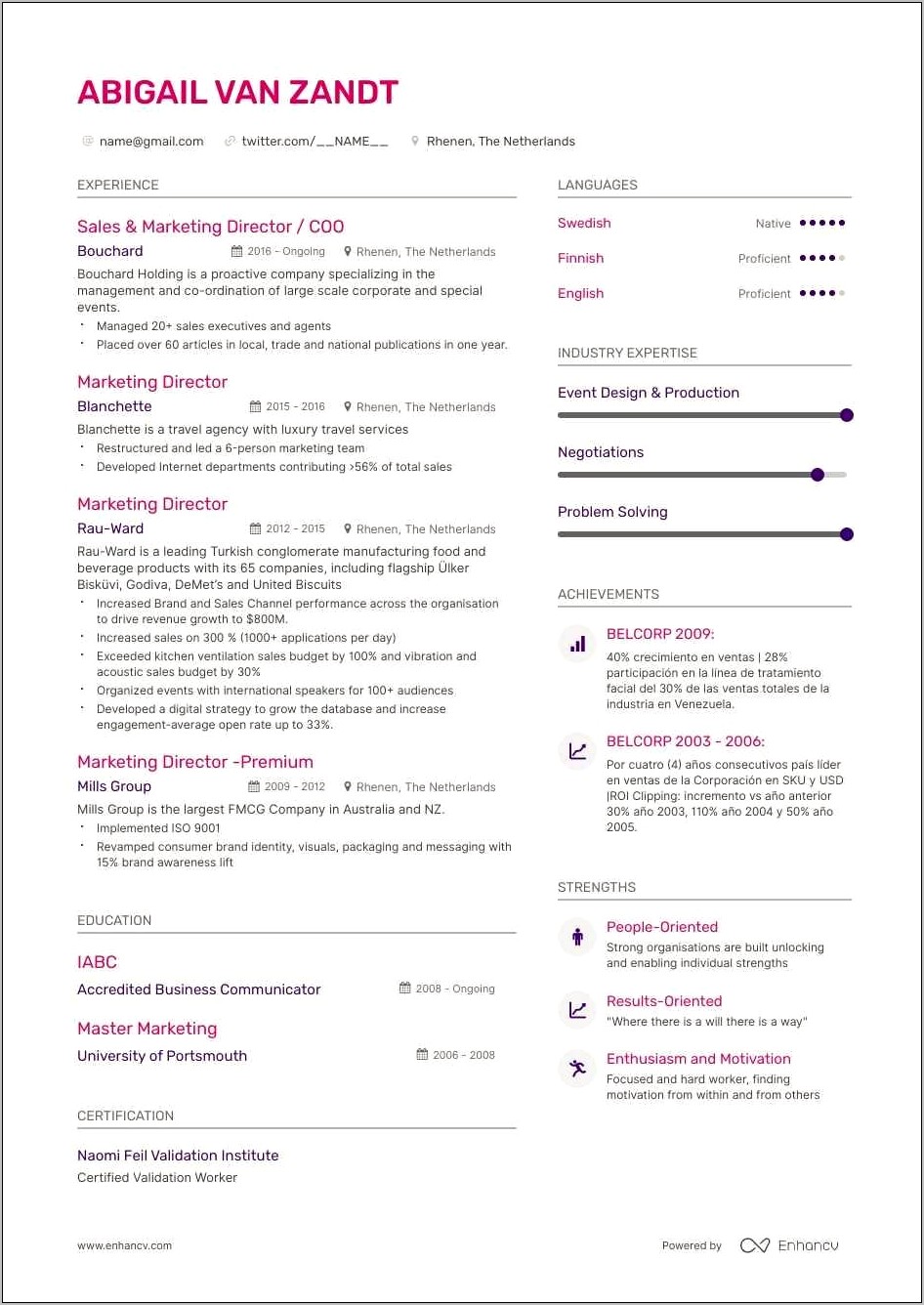 Sample Resume For A Vp Of Marketing