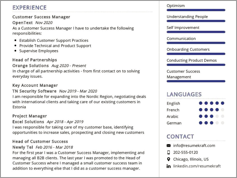 Sample Resume For Customer Success Manager Google