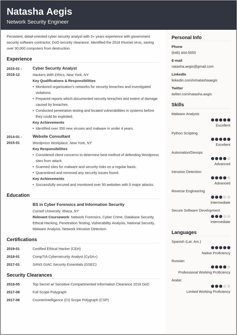 Sample Resume For Entry Level Cyber Security