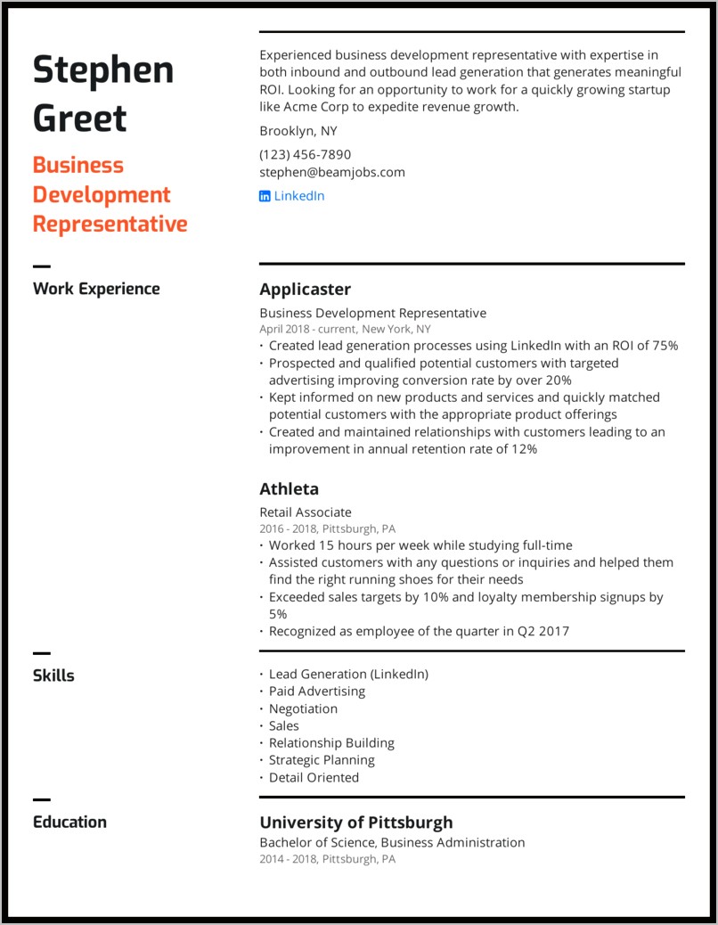 Sample Resume For Experienced Business Development Executive