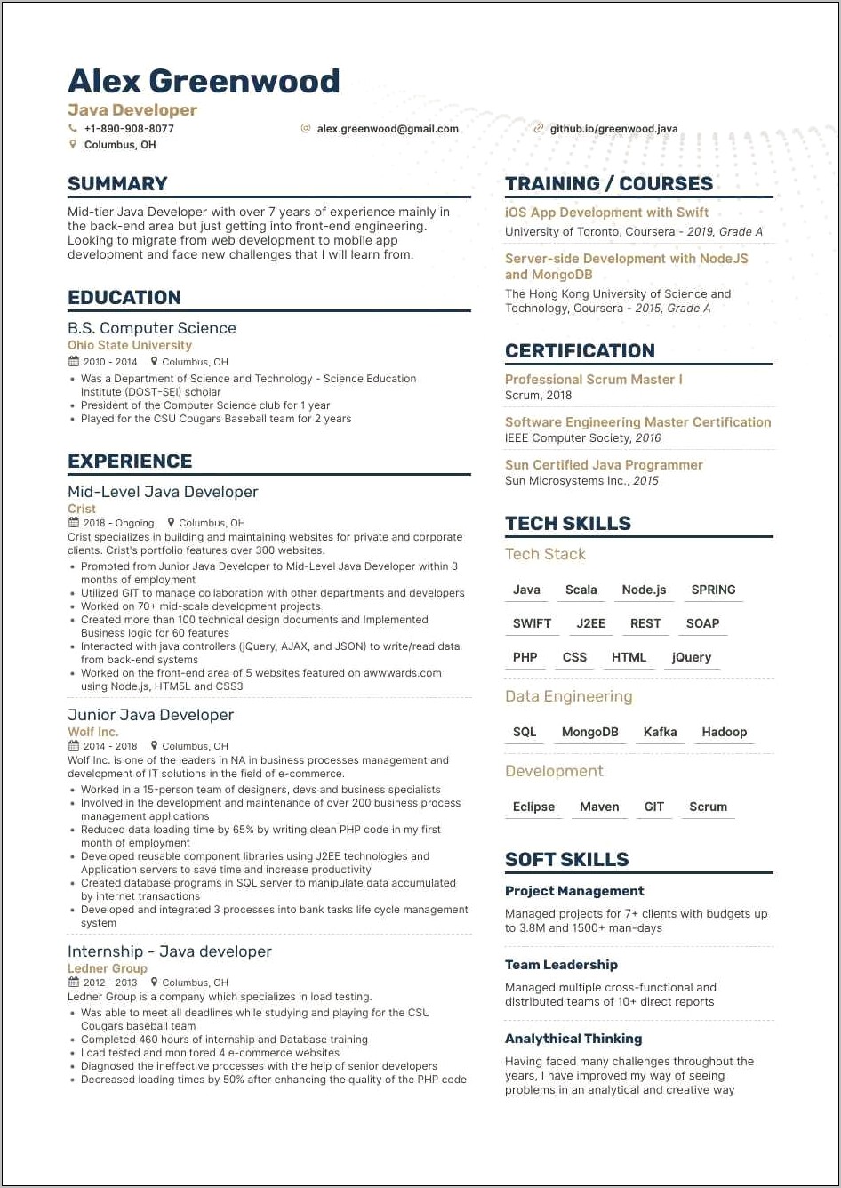 Sample Resume For Experienced Java Developer Usa