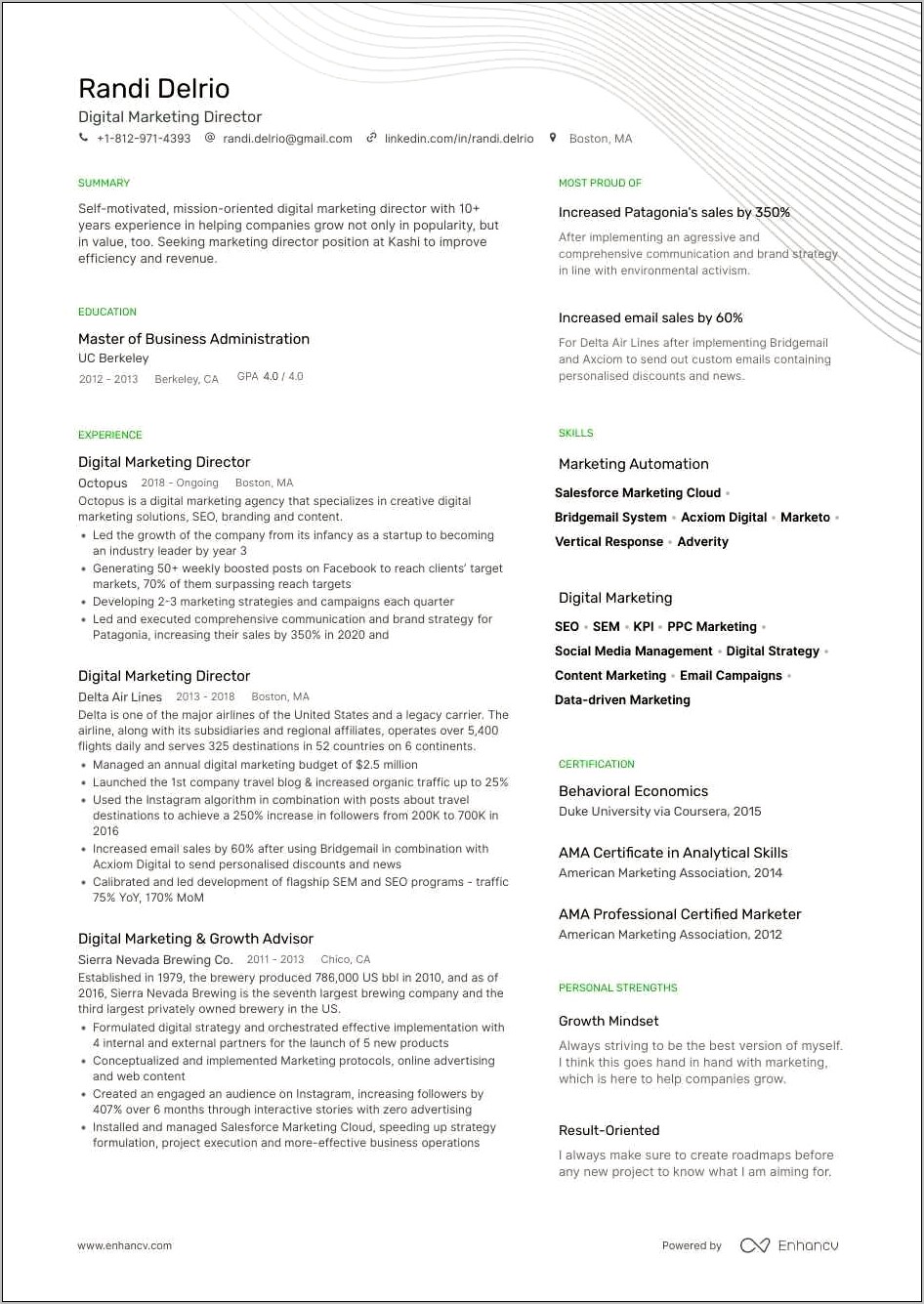 Sample Resume For Marketing Agency Principal