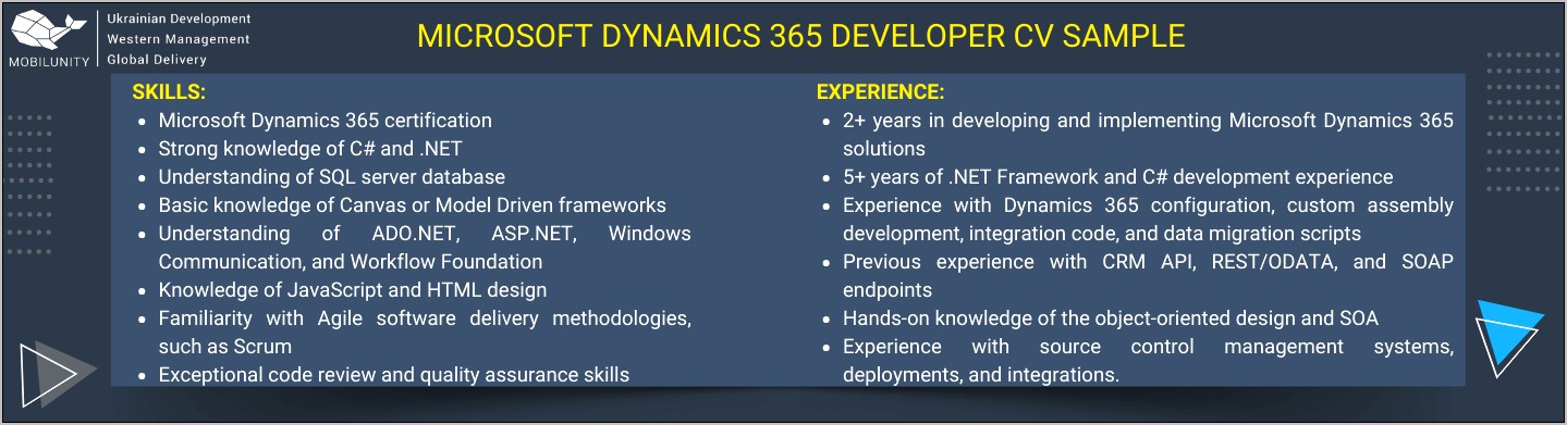Sample Resume For Microsoft Dynamics Ax