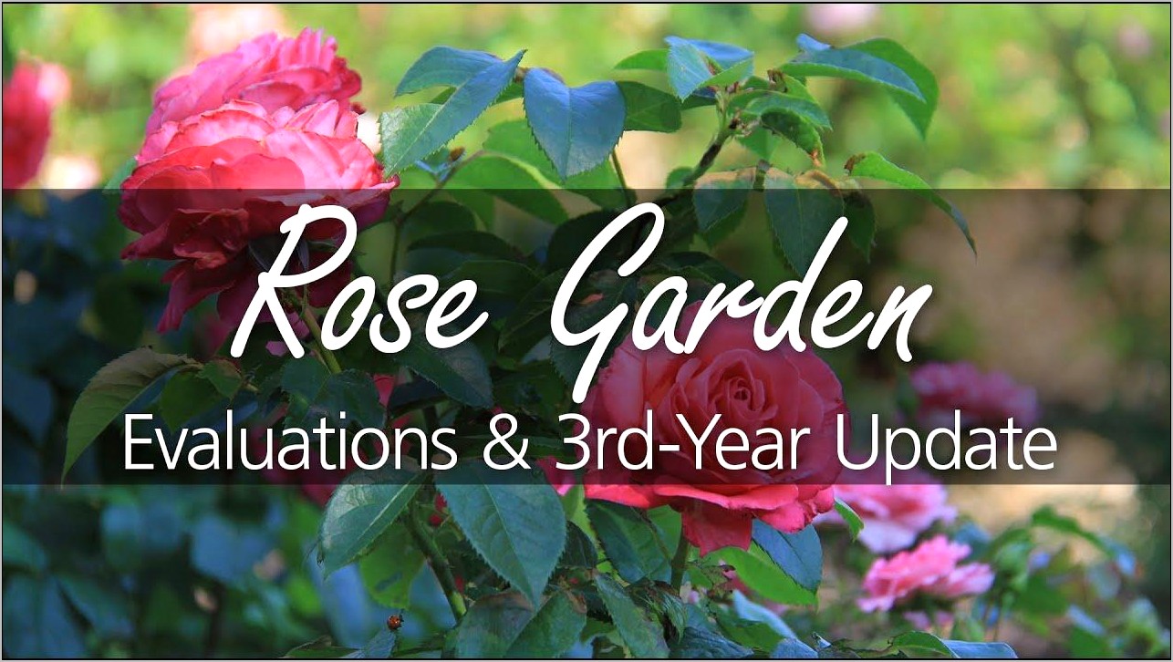 Sample Resume For Pink Rose Home Remodeling