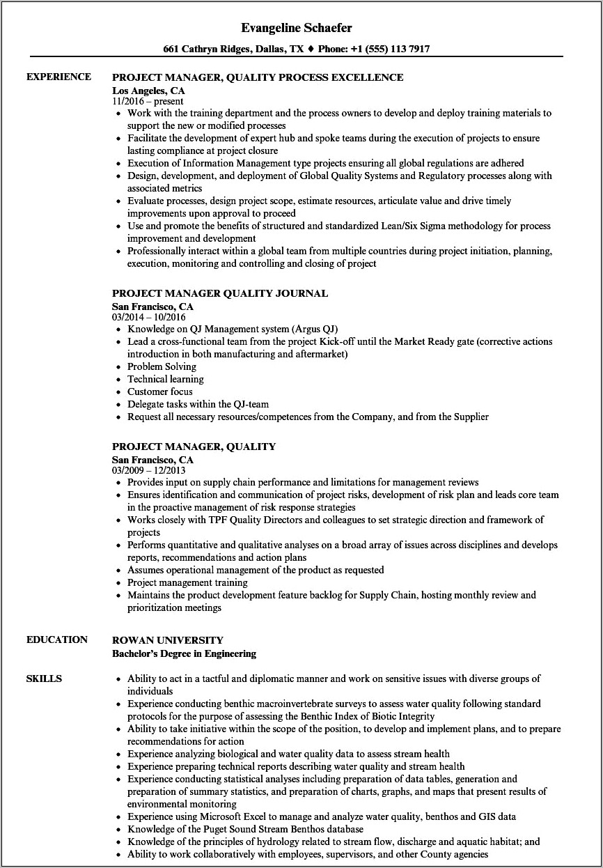 Sample Resume For Program Manager Manufacturing