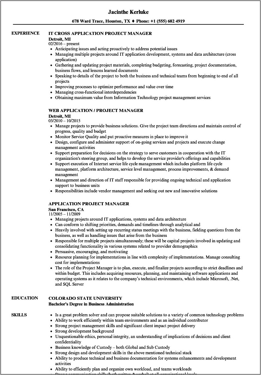 Sample Resume For Project Lead