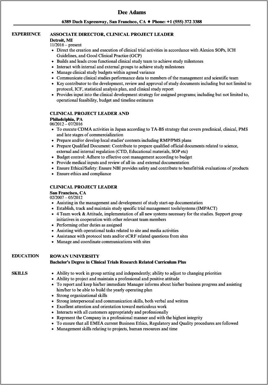 Sample Resume For Project Leader