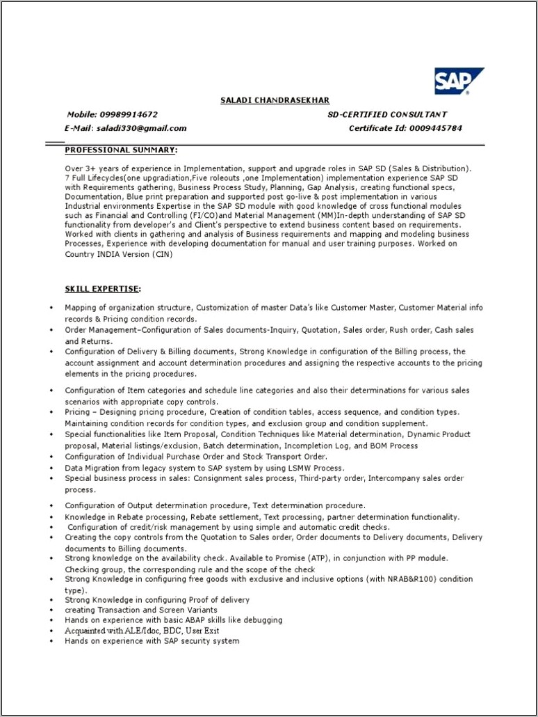 Sample Resume For Sap Security Consultant